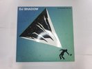 DJ Shadow - The Mountain Will Fall 2x12