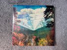 Tame Impala Vinyl - Innerspeaker 10th Anniversary