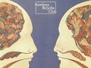 BOMBAY BICYCLE CLUB - A Different Kind Of Fix - Vinyl (LP + insert)