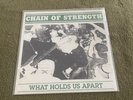 chain of strength 3rd Press Clear Vinyl Turning Point Earth Crisis Sxe Punk NYHC