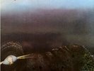 Light Of Darkness - Light Of Darkness (Vinyl LP - 1990 - DE - Reissue)