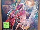 Polyphony - Without Introduction LP   VG+ Original   Eleventh Hour   Psych Prog