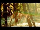 Childish Gambino Camp Vinyl LP 2012 NEW