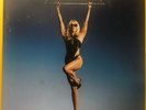 Miley Cyrus - Endless Summer Vacation [Used Very Good Vinyl LP] Explicit, Gatefo