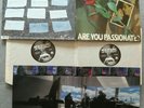 Neil Young  Vinyl 2LP   1st German Press   Hard to find  OOP  M-/M-