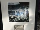 Echo & the Bunnymen: rare signed x classic 4, framed and glazed autographs rare