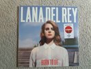Vinyl 12