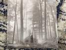 Taylor Swift Folklore (2-LP) 