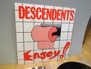 DESCENDENTS Enjoy  LP Restless records 72158-1 punk hardcore ALL