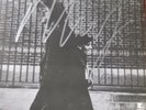 RARE SIGNED Neil Young - After The Gold Rush - Gatefold LP Album Vinyl RECORD LP