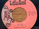 SANGRE MEXICANA: Yes I Do 45 Latin Soul TX Tejano garage rock MP3 hear
