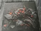 Future EVOL, ORANGE Vinyl LP, Limited Edition Urban Outfitters, 2016