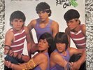 Menudo 