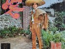 DAVID ZAIZAR - SELF TITLE- LP VG+/VG++ PEERLESS M/S-2133 MEX 1979