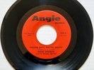 THE VOWS - I WANNA CHANCE/DOUG SALDAÑA - WASTED DAYS, WASTED NIGHTS on ANGIE...