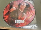 The Hunger Games - Catching Fire 2LP Set (Picture Disc) - Republic Records 2013