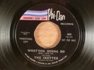 The Ikettes What'cha Gonna Do (When I Leave You)/Down, Down RARE  Northern Soul