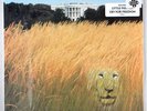 White Lion - Big Game (1989) [SEALED] Vinyl LP • Little Fighter, Radar Love