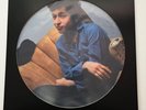 Bob Dylan LP Freewheelin' Outtakes Picture Disc