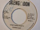 SUPER CAT  Vineyard Party SKEND DON Killer  Rub A Dub Deejay Reggae 7