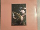 Hayley Williams - Petals For Amor / Flowers For Vases Descansos - Vinyl LP Set