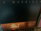 Van Morrison - Avalon Sunset - LP, Album - 1989 - Polydor