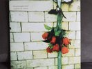 The Pineapple Thief : Variations On A Dream -  2 LP  -  180g Vinyl  -  WIE NEU