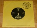 THE FRUIT EATING BEARS - DOOR IN MY FACE - NEW WAVE - POWERPOP  1978 - EXCELLENT