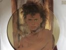 LUIS MIGUEL BUSCA UNA MUJER RARE PICTURE DISC LP