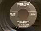 Rare Texas Garage FABULOUS WANDERERS Must Be Something MIDESSA VG++ NM- LISTEN
