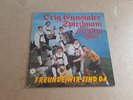 Ennstaler Spitzbuam/Freunde wir sind da Schallplatte VM Records
