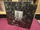 FLUX OF PINK INDIANS - Strive To Survive 1ST PRESS +booklet Crass Conflict album