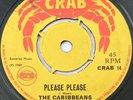 The Caribbeans 