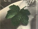East Of Eden New Leaf ORIGINAL GERMAN NEAR MINT Harvest Vinyl LP