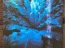 Hum Downward Is Heavenward Blue 2LP 2019 Earth Analog Records