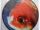 Vince Staples - Big Fish Theory Vinyl (Picture Disc) NEW SEALED