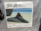 Shy Rose - I Cry For You 12
