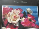 Whiskeytown - Strangers Almanac Double Vinyl