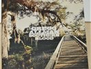 Gregg Allman – Southern Blood - 2017 LP Record Album - Vinyl Near Mint