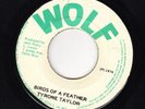 TYRONE TAYLOR - BIRDS OF A FEATHER - WOLF