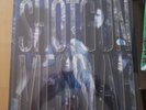 SHOTGUN MESSIAH ** NEAR MINT LP ** HAIR GLAM METAL