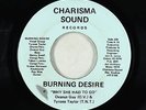 Modern Soul 45 - Burning Desire - Why She Had To Go - Charisma Sound rare