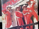 GRUPO BRONCO / A TODO GALOPE / vinyl record 33 rpm