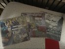 The Fall Record Lot