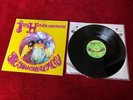 Jimi Hendrix Experience Are You Experienced LP 2014 vinyl album