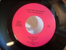 GUNNER LOVE ON THE ROXX 45 private detroit heavy metal hard rock hair glam MINT