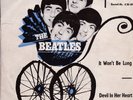 THE BEATLES / *It Won't Be Long* / RAR  / Amiga / THE BEATLES