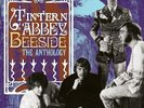 TINTERN ABBEY - ANTHOLOGY: BEESIDE (2LP 2022) NEW*PURPLE VINYL*24 TRACKS*