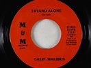 Sweet/70s Soul 45 - Calif. Malibus - I Stand Alone - M&M - VG+
