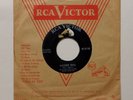 Elvis Presley  Hound Dog / Anyway You Want Me *Rare* 1956 Mexico 7